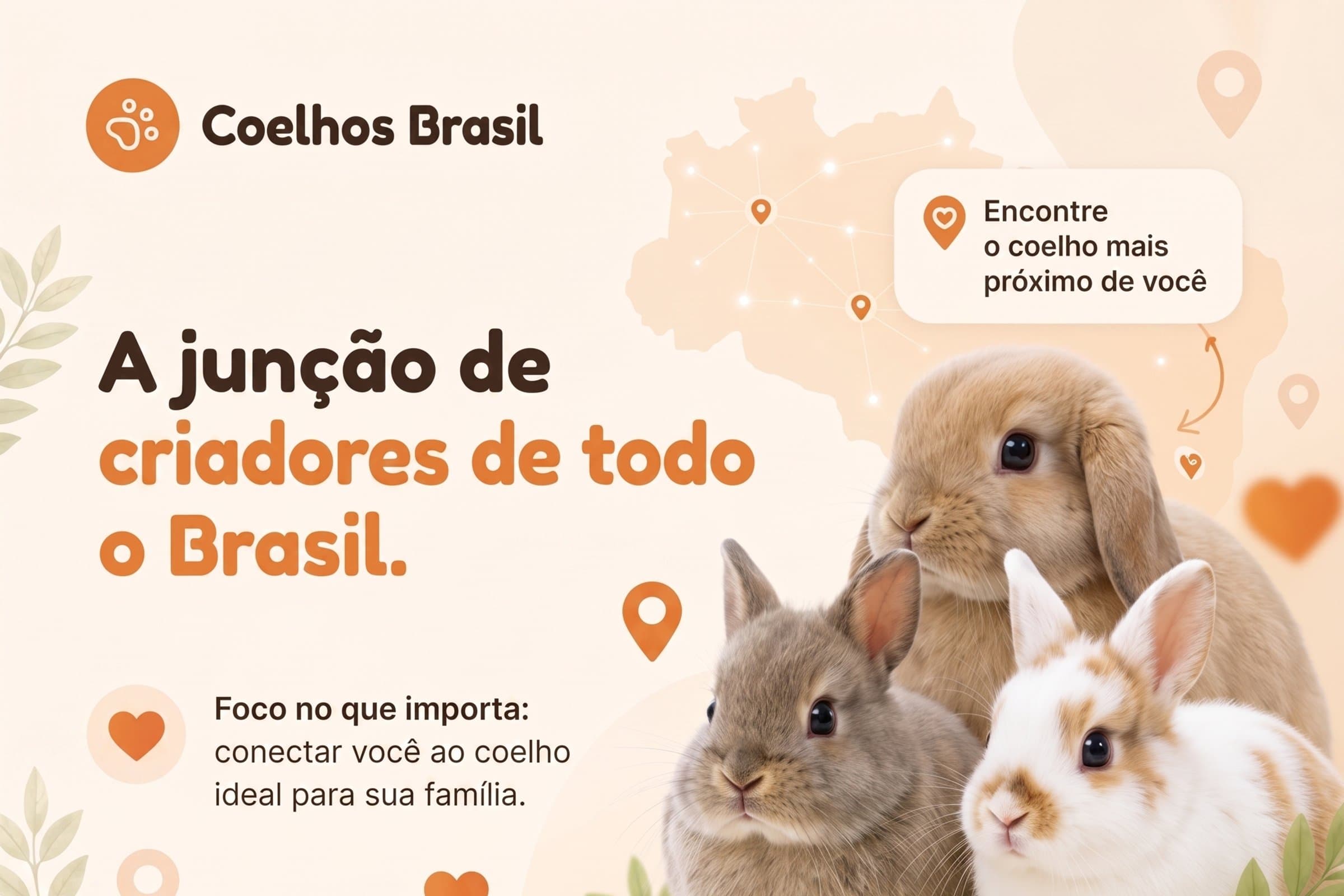 Coelhos Brasil — a junção de criadores de todo o Brasil. 100% grátis para anunciar. Encontre o coelho ideal para sua família.