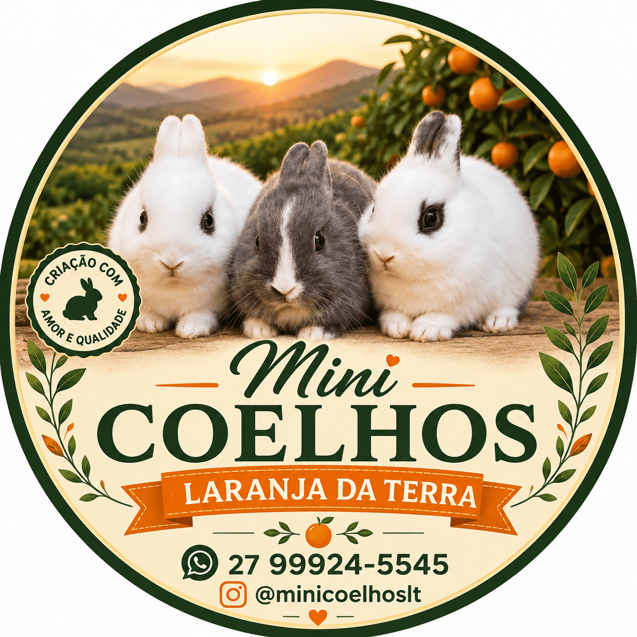 Mini coelhos Laranja da Terra