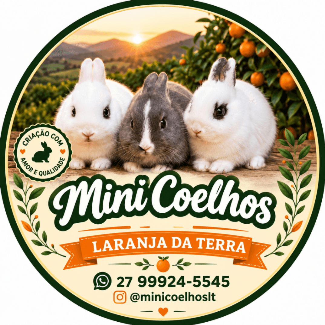 Mini coelhos Laranja da Terra