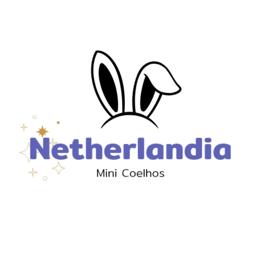 Netherlandia Mini Coelhos