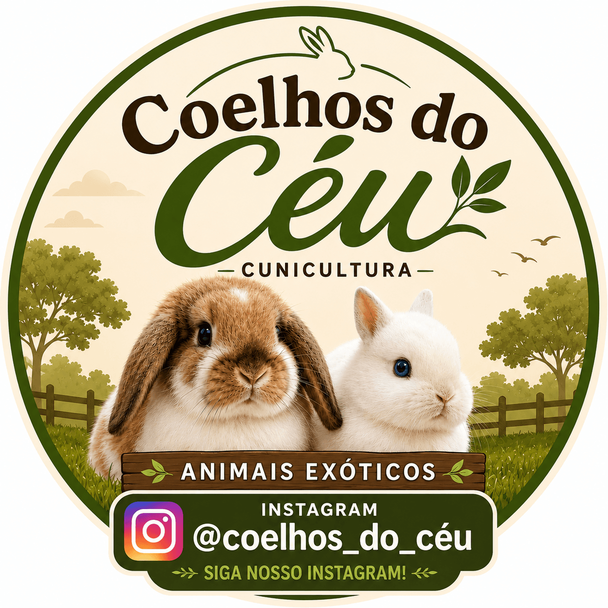coelhos_do_ceu