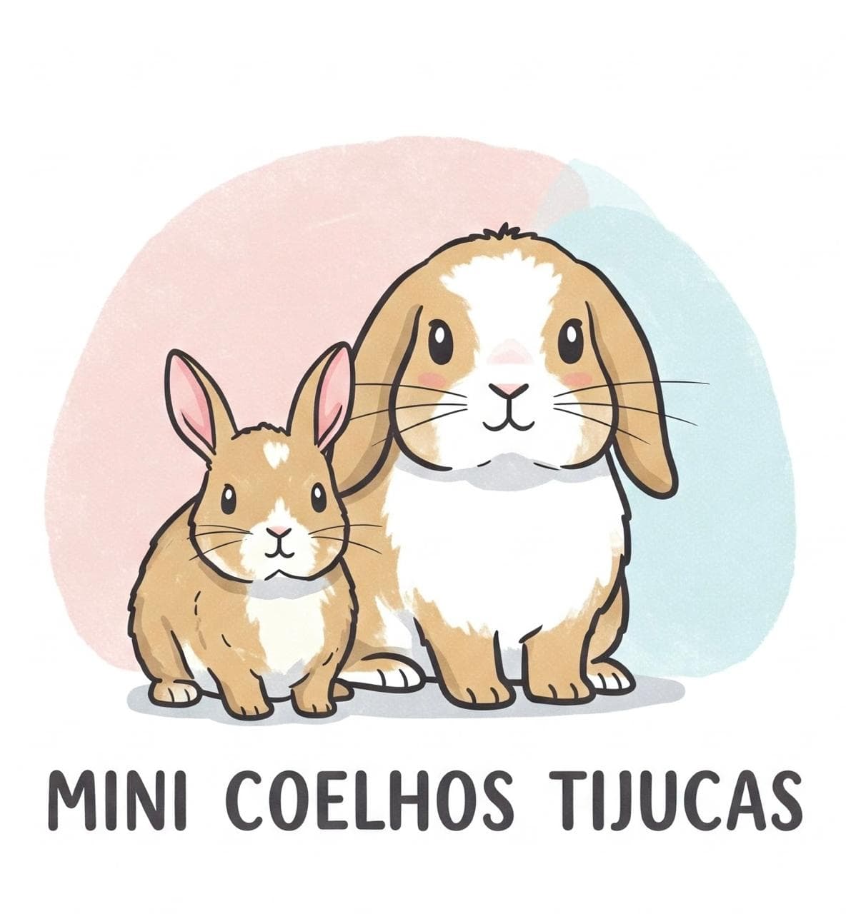 MINI COELHOS TIJUCAS