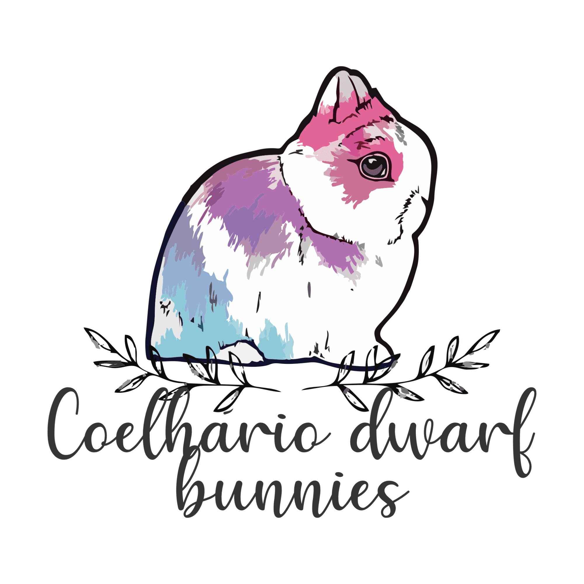 Coelhário Dwarf Bunnies