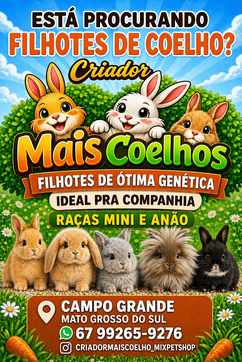 Criador Mais Coelho Mix Pet