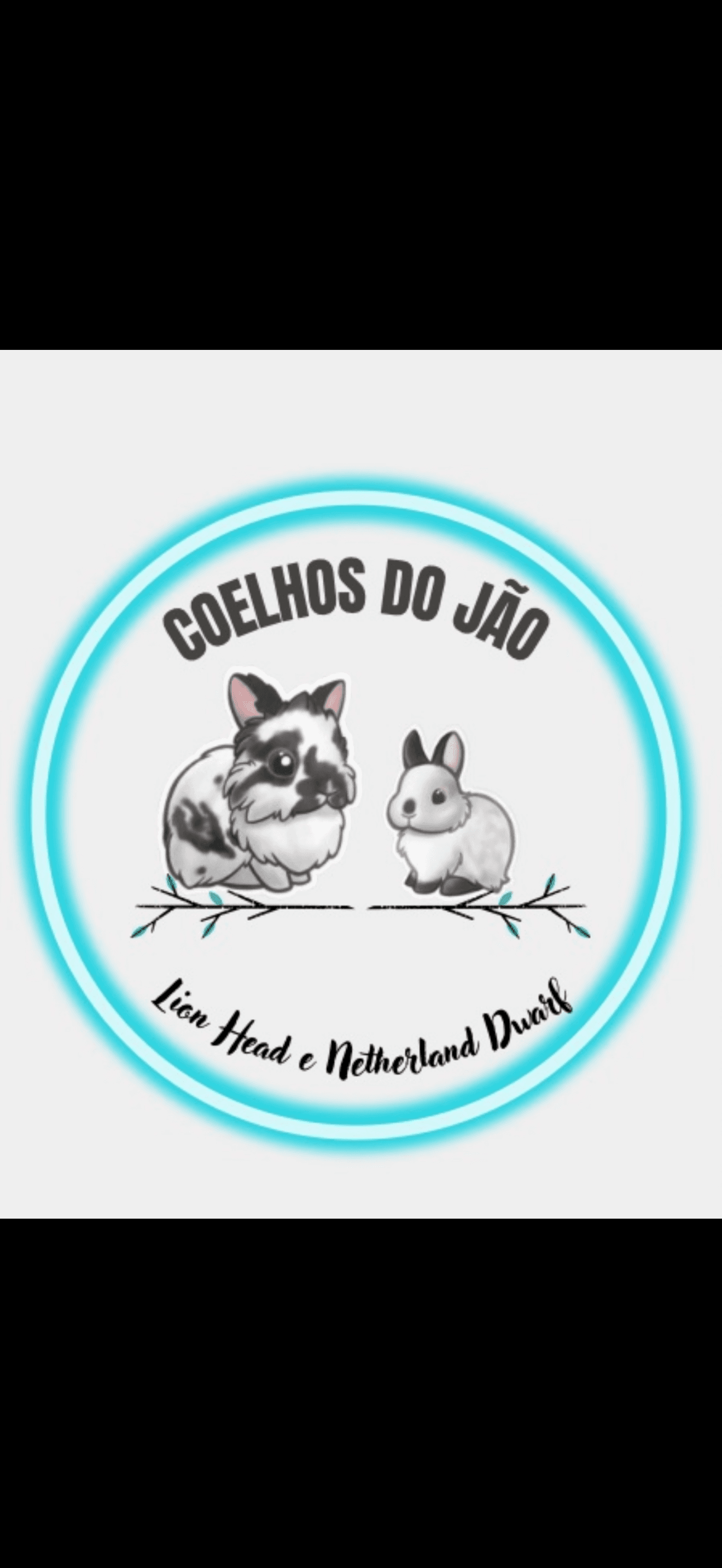 Coelhos do Jão