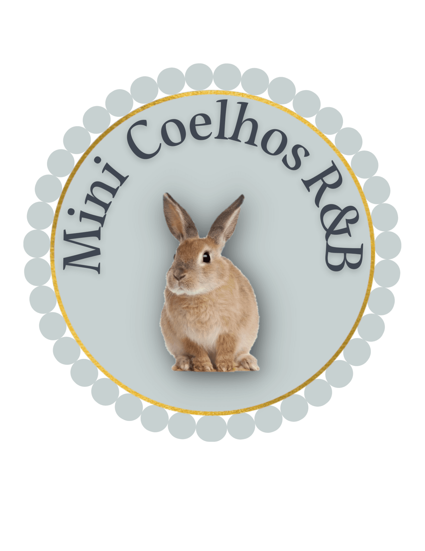Mini Coelhos R&B
