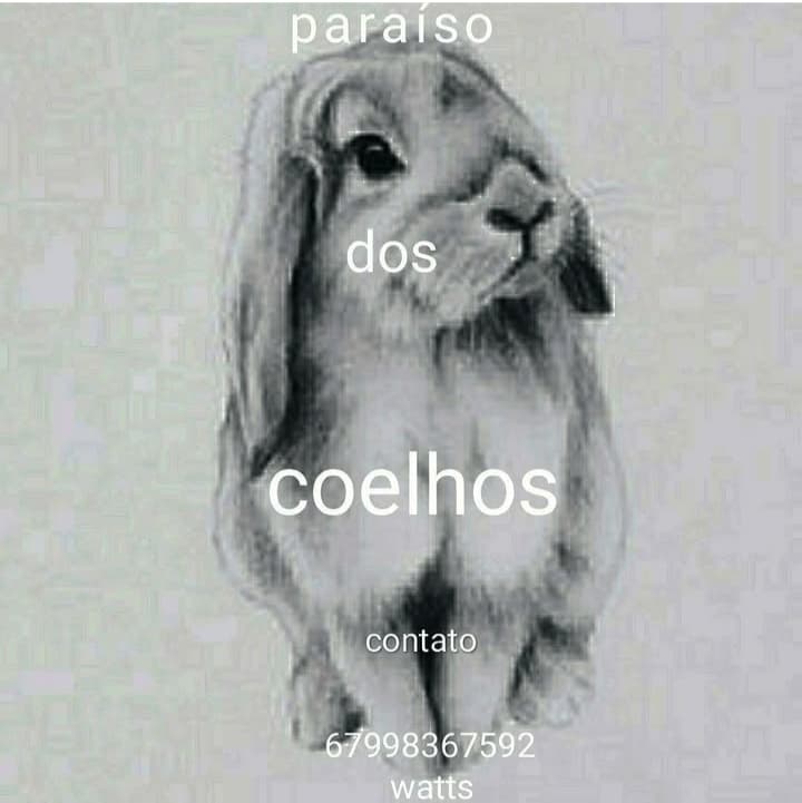 Paraíso.dos.coelhos