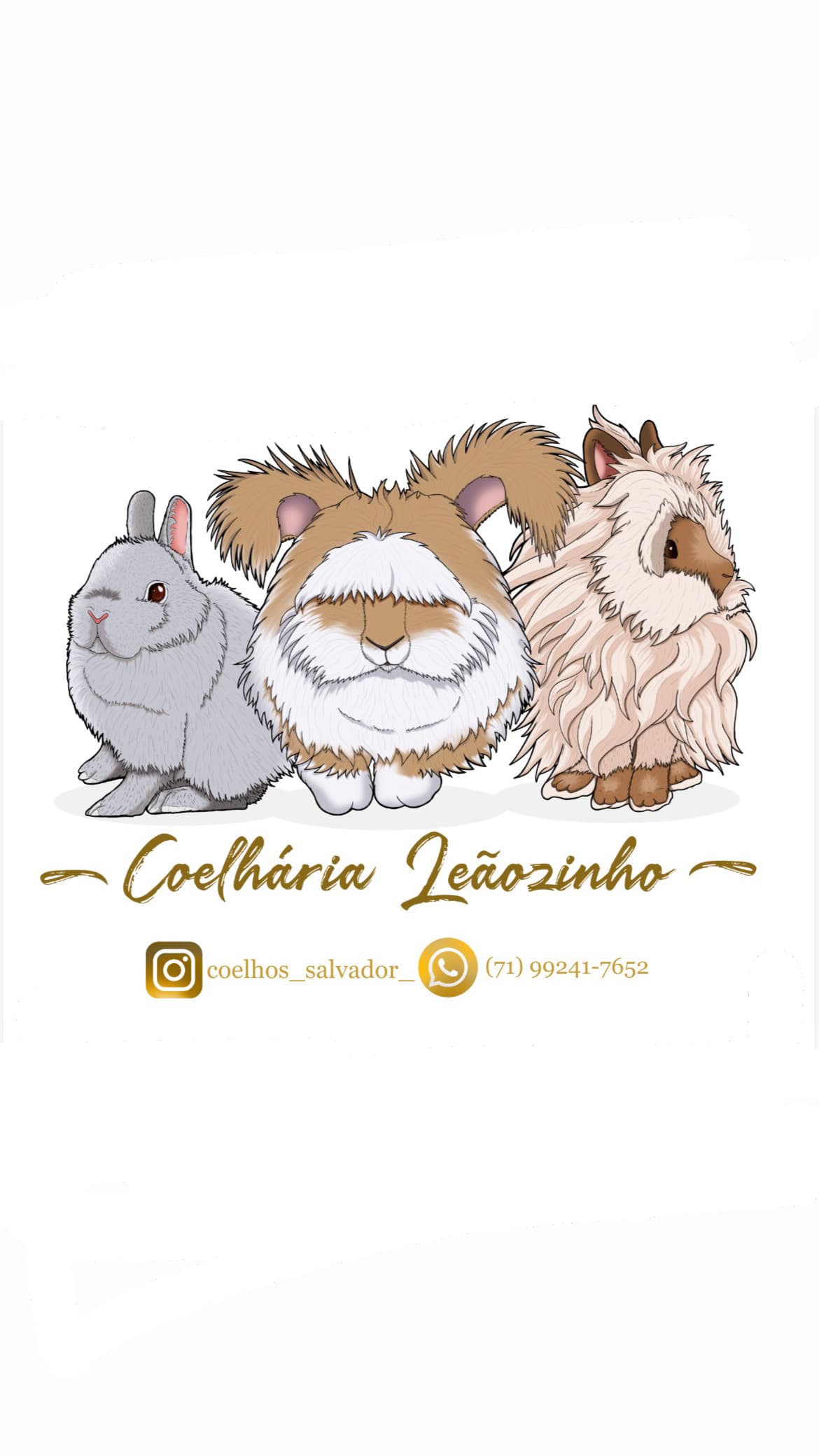 Coelhário Leãozinho