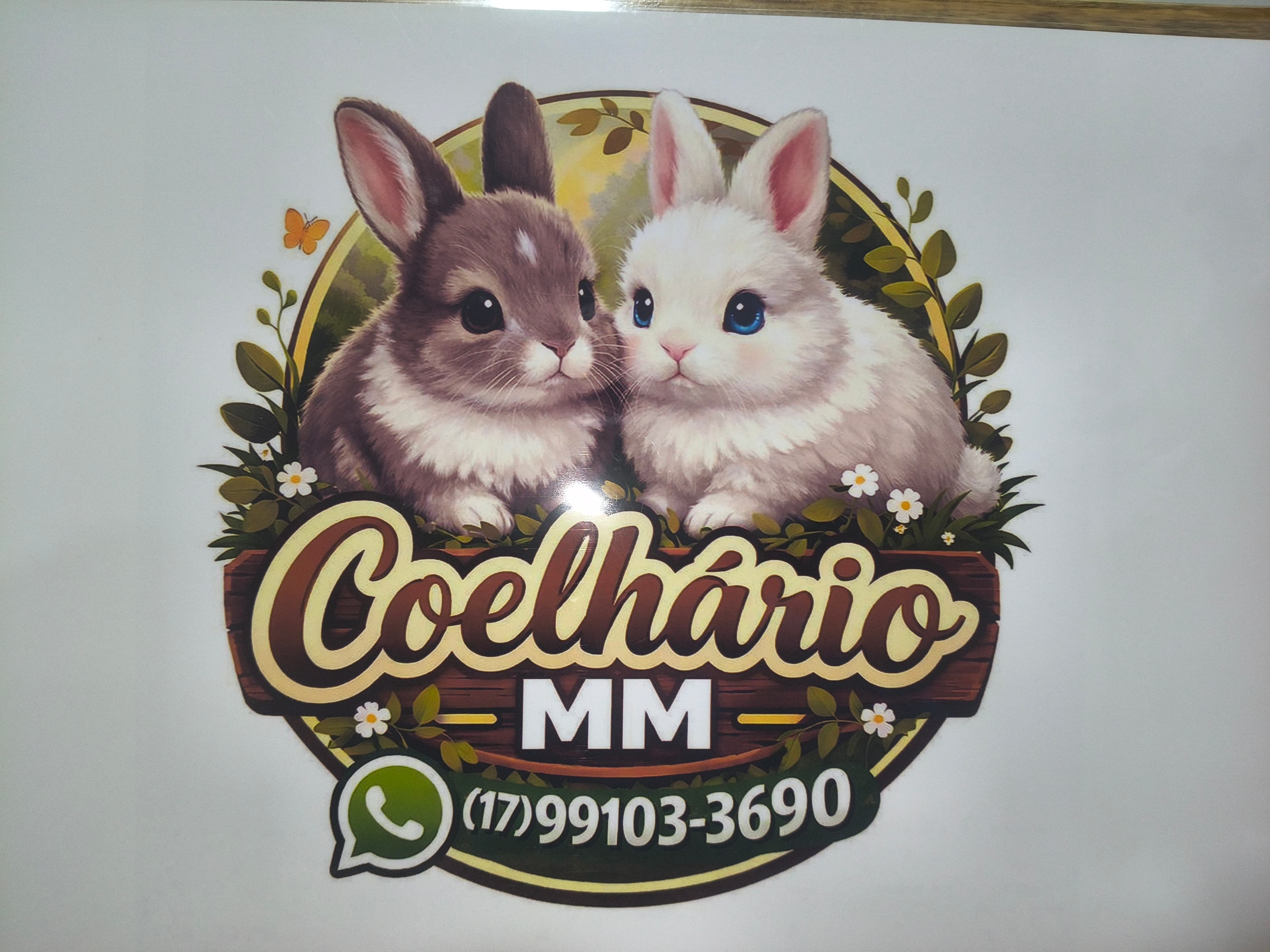 Coelhario MM