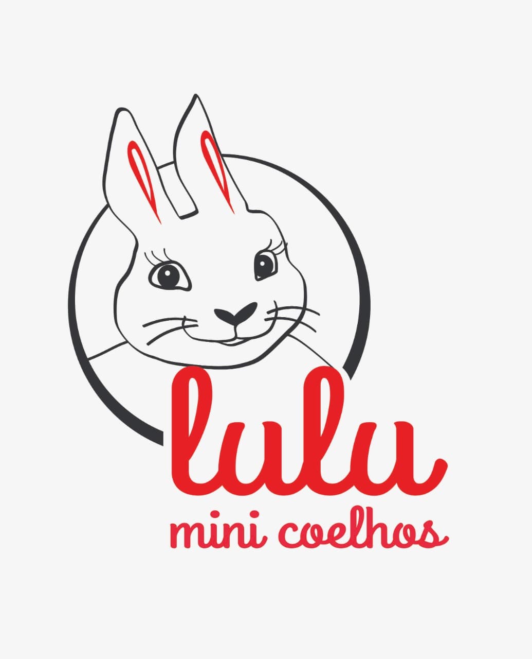 LuLu Mini Coelhos