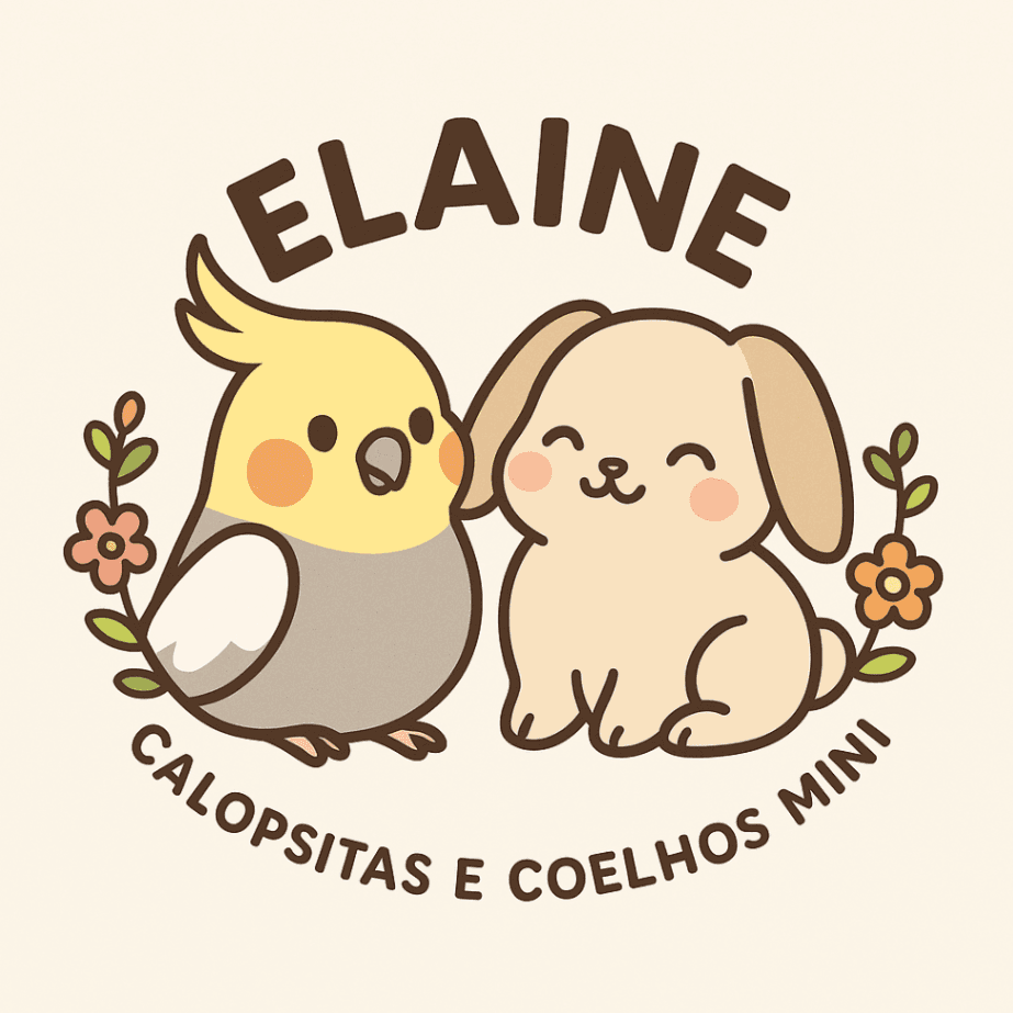 Elaine calopsitas coelhos mini
