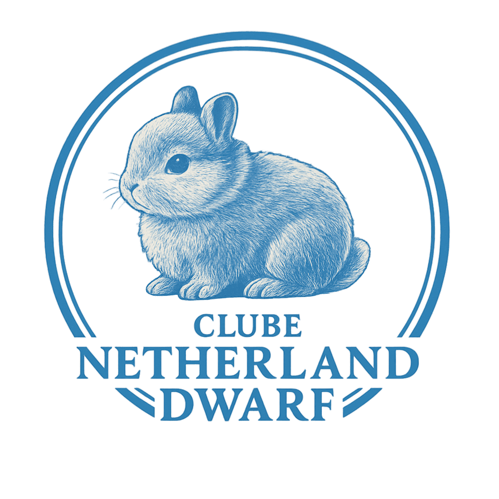 Clube Netherland Dwarf