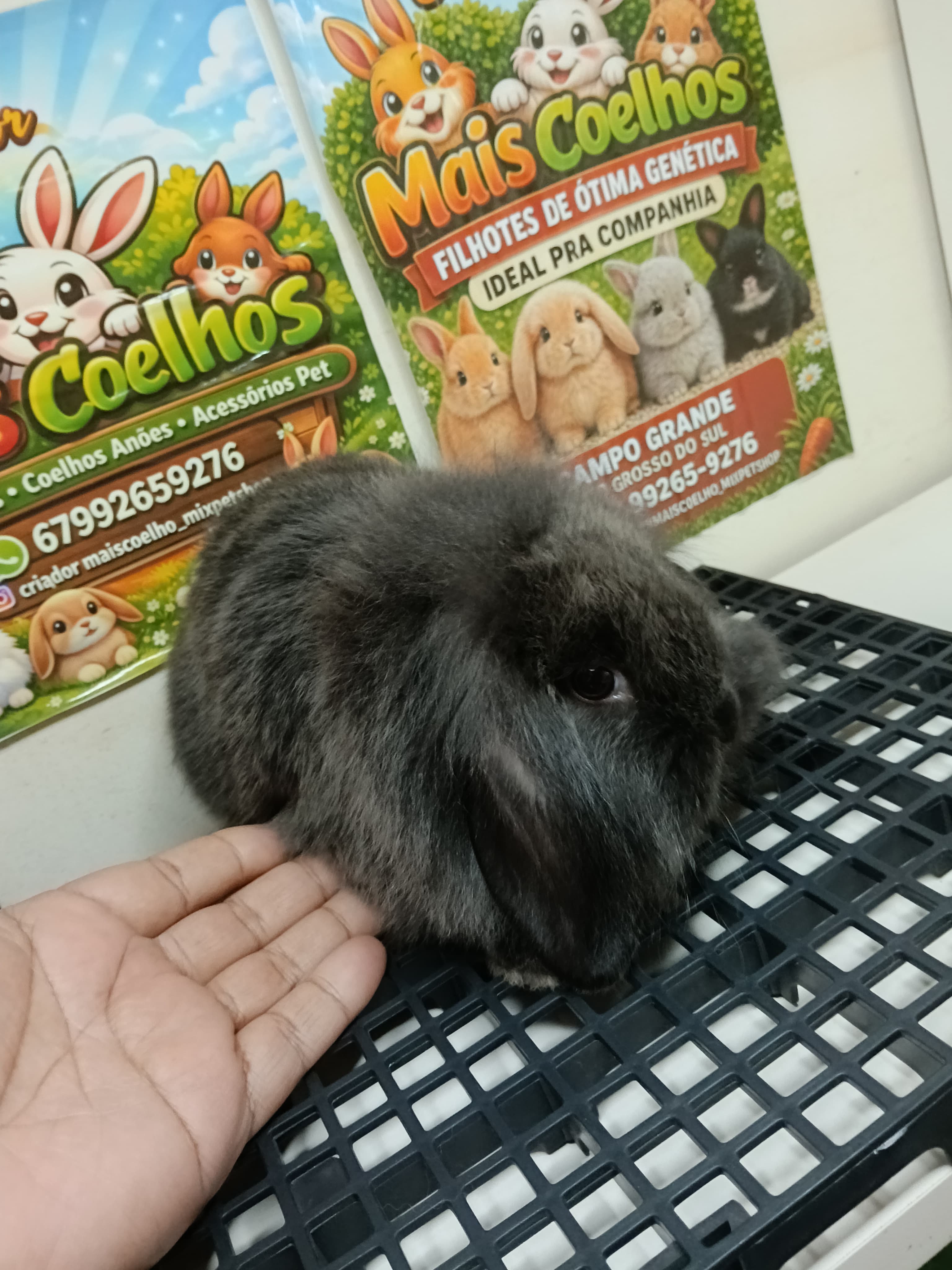 Mini Fuzzy Lop