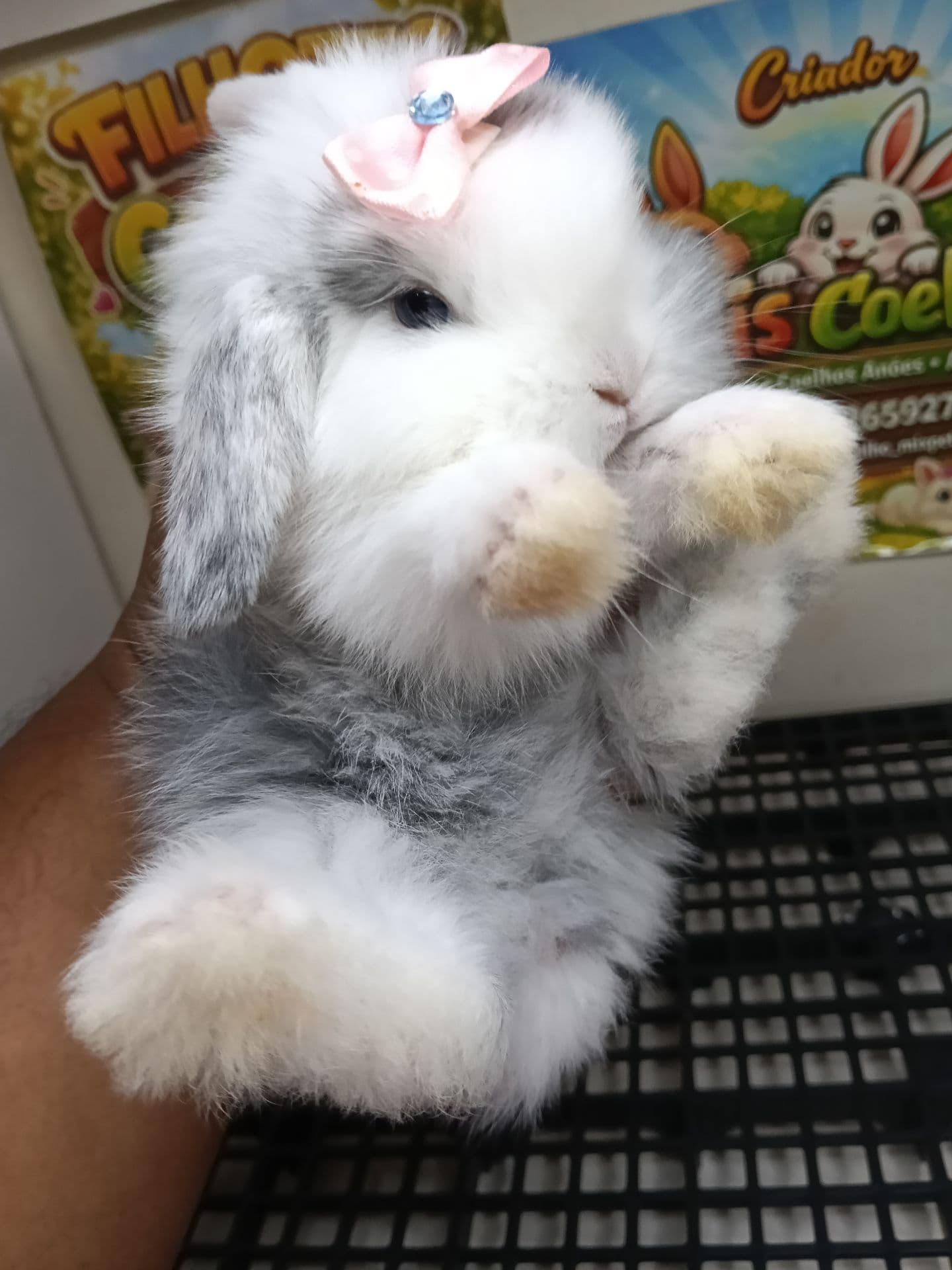 Mini Fuzzy Lop