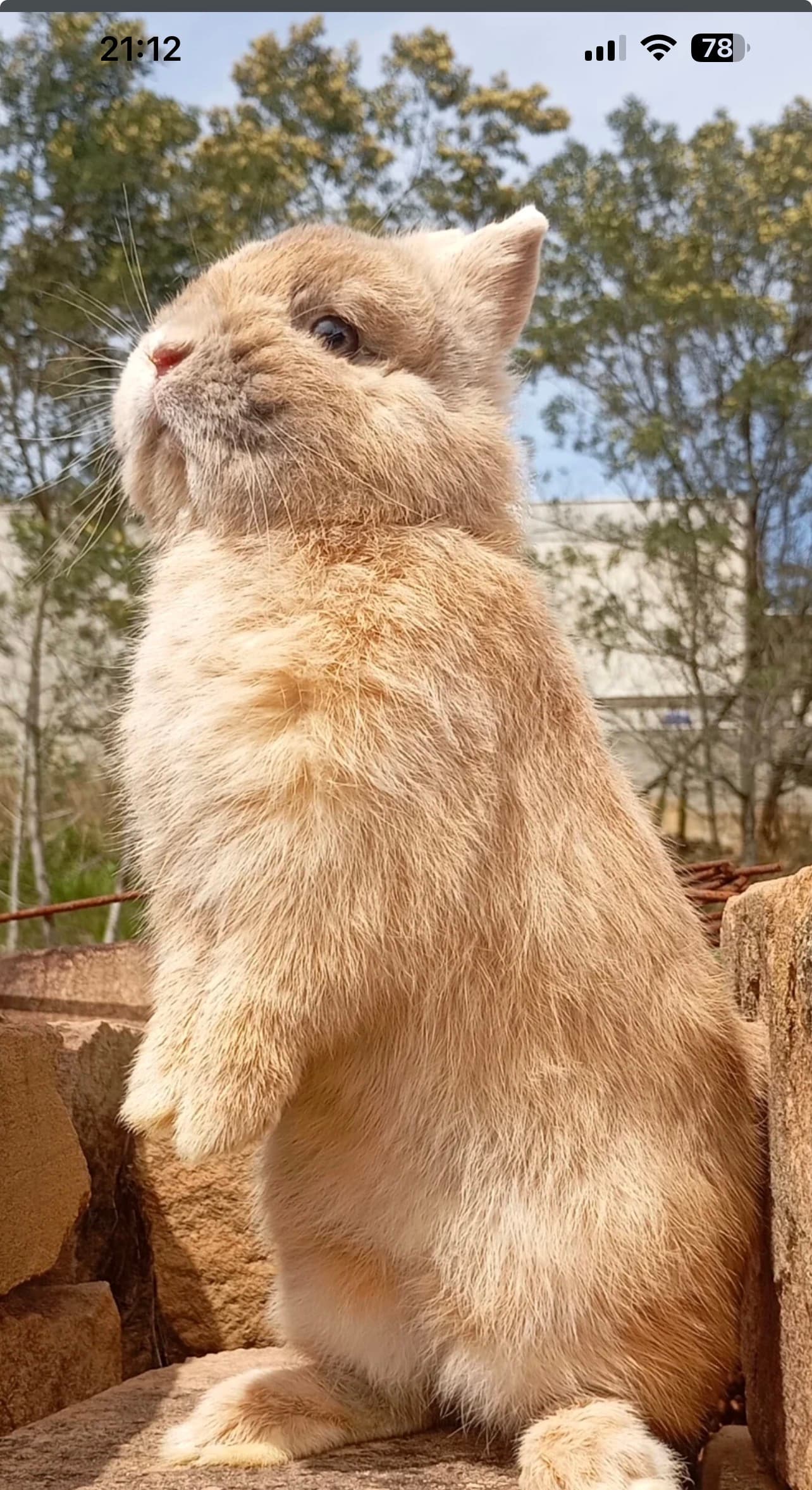 Fred