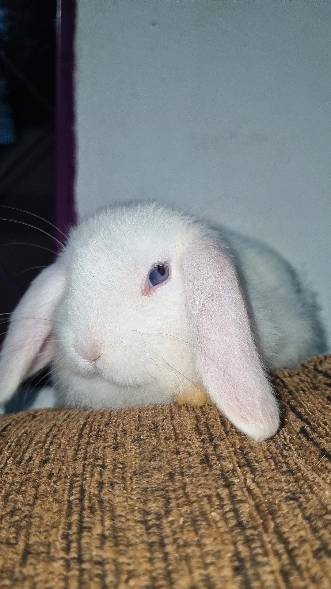 Mãe